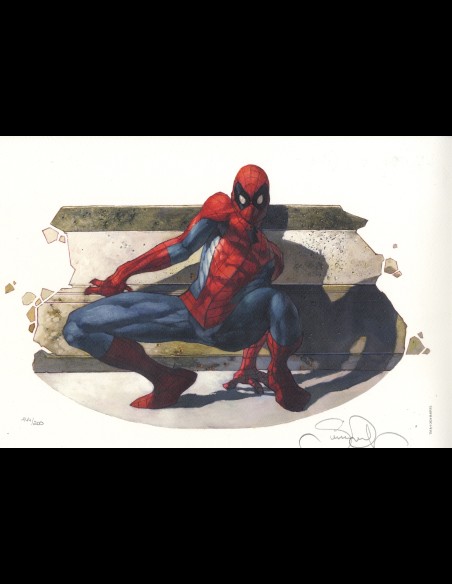 SPIDER-MAN SPALLE AL MURO di Simone Bianchi