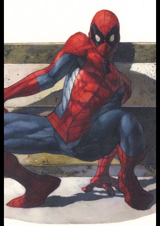 SPIDER-MAN SPALLE AL MURO di Simone Bianchi