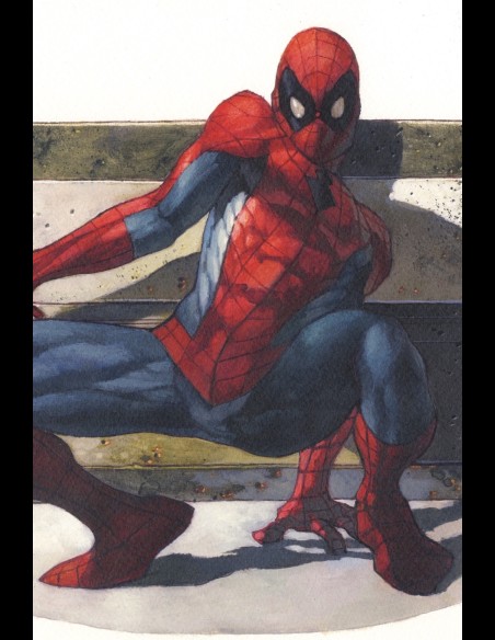 SPIDER-MAN SPALLE AL MURO di Simone Bianchi