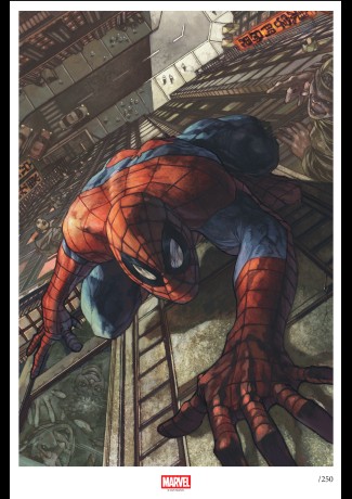 SPIDER MAN di Simone Bianchi