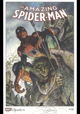 The Amazing Spider-Man di Simone Bianchi